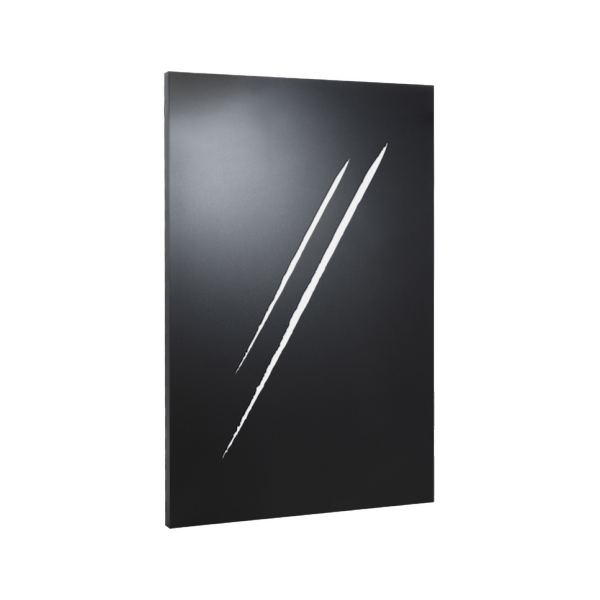 PLAQUE MURALE SOUS AT CSTB 80X120CM ACIER NOIR MOTIF WAAR